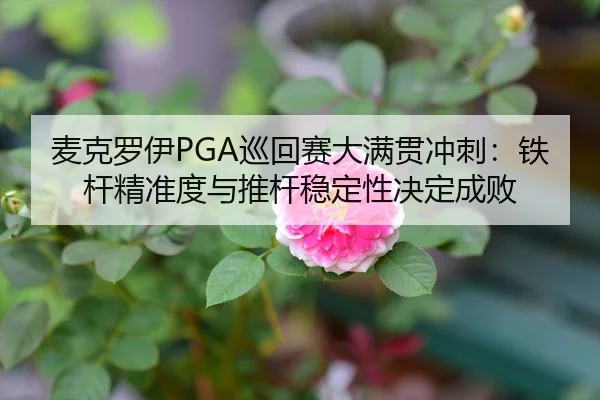 mai-ke-luo-yi-xun-hui-sai-da-man-guan-chong-ci-tie-gan-jing-zhun-du-yu-tui-gan-wen-ding-xing-jue-ding-cheng-bai-1-253.jpg