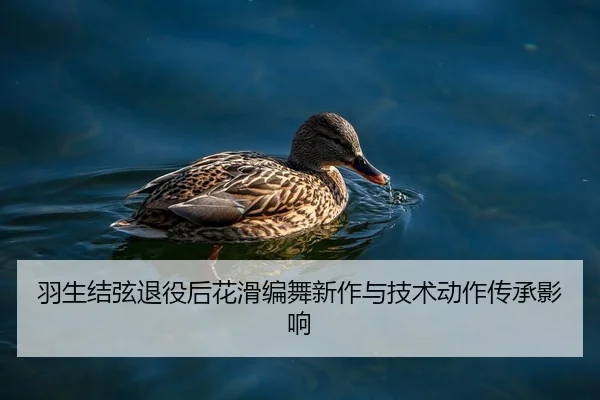 羽生结弦退役后花滑编舞新作与技术动作传承影响