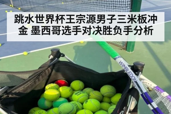 跳水世界杯王宗源男子三米板冲金 墨西哥选手对决胜负手分析