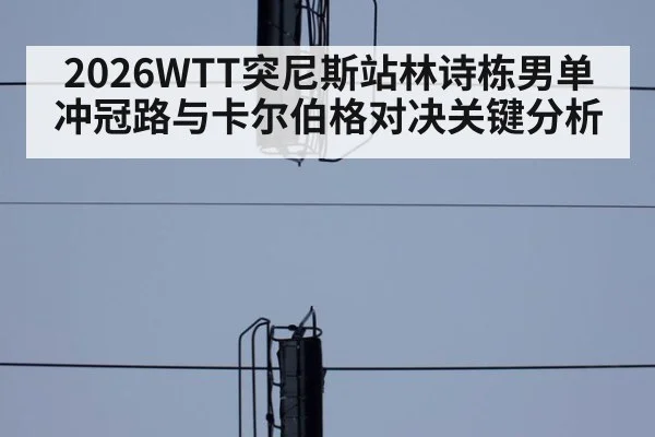 2026WTT突尼斯站林诗栋男单冲冠路与卡尔伯格对决关键分析